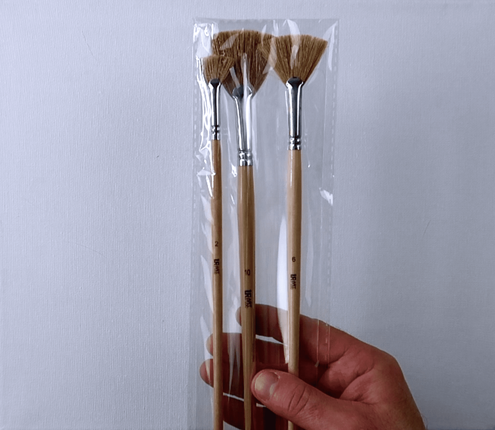 3 NATURAL BRISTLE FAN BRUSH SET - Image 6