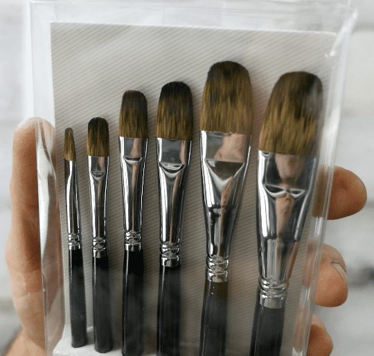 6 FILBERT BRUSHES BROWN HANDLES SET